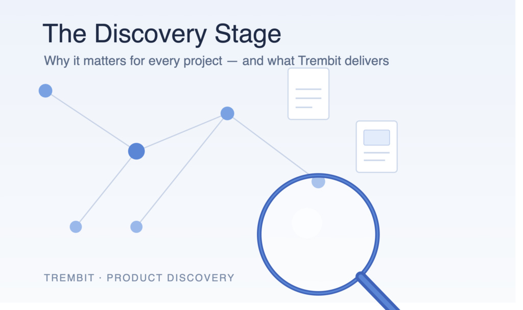 Significance of the Discovery Stage for the Project