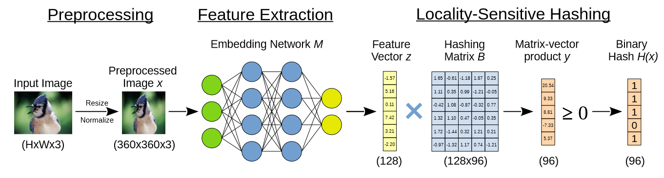 NeuralHash pipeline