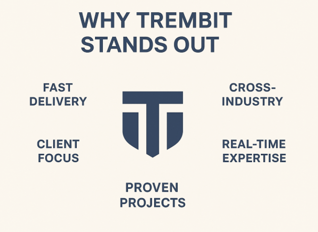 Why Trembit as MVP development partner