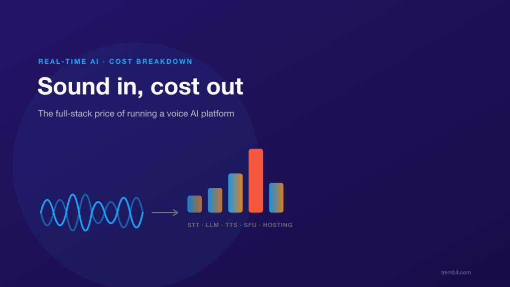 Cost of Running a Voice AI Platform: A Full-Stack Cost Breakdown